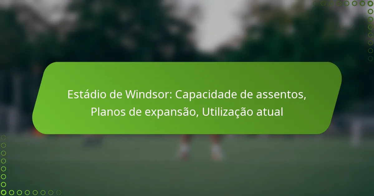 Estádio de Windsor: Capacidade de assentos, Planos de expansão, Utilização atual