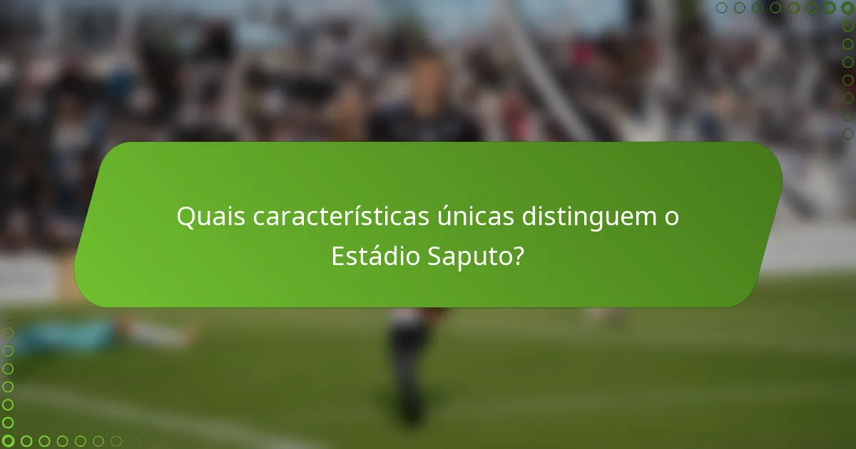 Quais características únicas distinguem o Estádio Saputo?