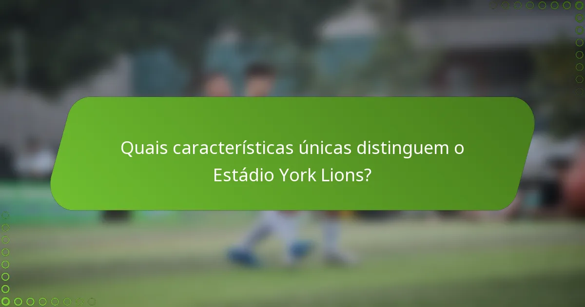 Quais características únicas distinguem o Estádio York Lions?